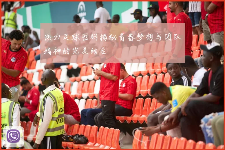 热血足球密码揭秘青春梦想与团队精神的完美结合
