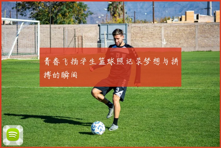 青春飞扬学生篮球照记录梦想与拼搏的瞬间